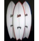 Surfplank Verloren Plas Vissen