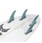 Surfplank Verloren E-Z UP