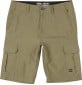 Billabong Scheme Submersible Shorts 22''