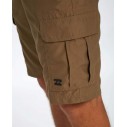 Shorts Billabong Regeling Dompelpomp 22''