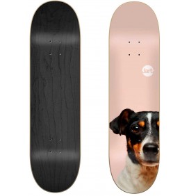 Skateboard Jart Friends 8,125″