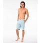 Bermudas Rip Curl Jackson Boardwalk