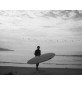 Tabla de surf Channel Island Black and White