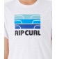 Camisa Rip Curl surf revival Mumma