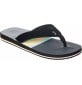 Chanclas Billabong All Day Theme Graphite