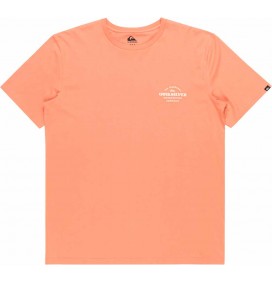 Camiseta quiksilver Tradesmith canyon clay