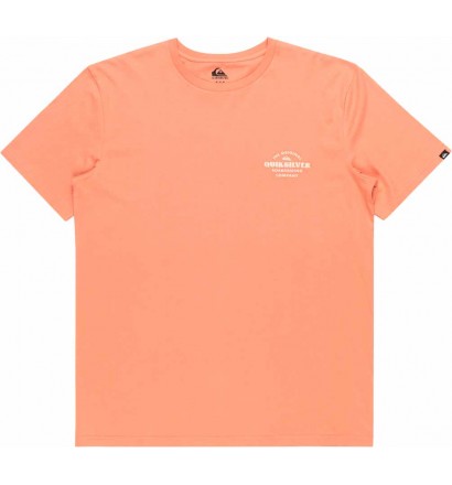 Camiseta quiksilver Tradesmith canyon clay