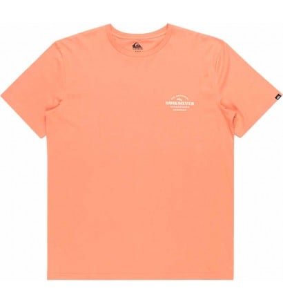 T-shirt Quiksilver Tradesmith canyon clay