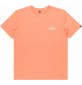 T-Shirt quiksilver Tradesmith canyon clay