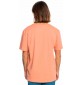 Camiseta quiksilver Tradesmith canyon clay