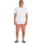 Quiksilver Everyday Union Light Canyon Clay corto