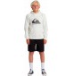 Sweat-shirt Quiksilver big logo Beige