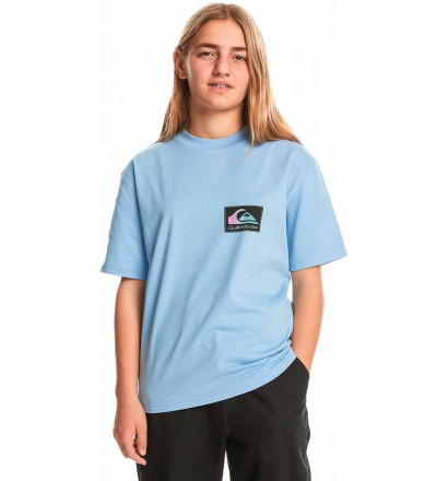 Camiseta Quiksilver Back Flash Hydrangea Junior