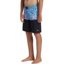 Costume da bagno di quicksilver Surfsilk Tijuana Dark Navy