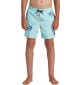 Boardshorts quicksilver Surfsilk Tijuana Dark Navy