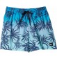 Boardshorts quicksilver Surfsilk Tijuana Dark Navy