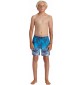 Costume da bagno di quicksilver Surfsilk Tijuana Dark Navy