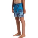 Maillot de Bain quicksilver Surfsilk Tijuana Dark Navy