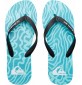 Chanclas Quiksilver Molokai Art Blue 1