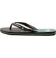 Chanclas Quiksilver Molokai Art Blue 1