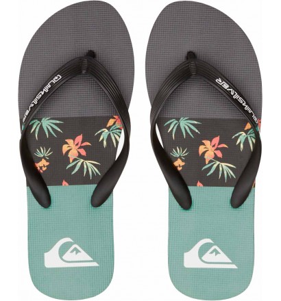 Chanclas Quiksilver Molokai Art Blue 1