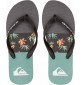 Chanclas Quiksilver Molokai Art Blue 1