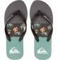 flip flops Quiksilver Molokai Art Blue 1