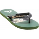 Chanclas Quiksilver Molokai Art Blue 1