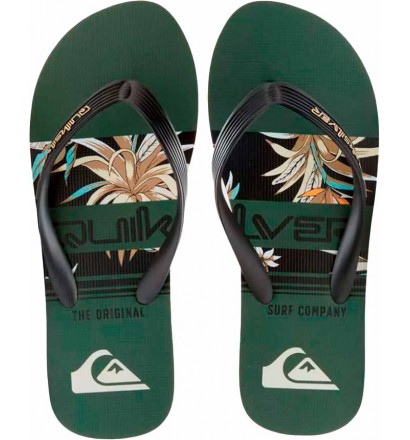 Chanclas Quiksilver Molokai Art Blue 1