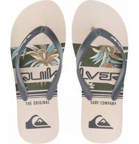 Chanclas Quiksilver Molokai Art Blue 1