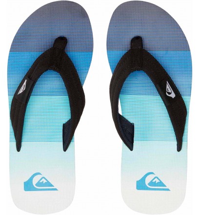 Chanclas Quiksilver Molokai Art Blue 1