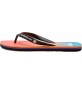 Flip Flops Quiksilver Molokai Art Blue 1