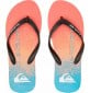 Chanclas Quiksilver Molokai Art Blue 1