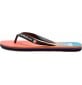 Chanclas Quiksilver Molokai Art Blue 1