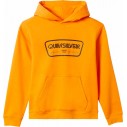 Suéter Quiksilver Graphic Youth Hoodie Orange