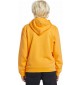 Felpa Quiksilver Graphic Youth Hoodie Orange