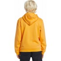 Suéter Quiksilver Graphic Youth Hoodie Orange