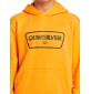 Felpa Quiksilver Graphic Youth Hoodie Orange