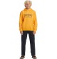 Felpa Quiksilver Graphic Youth Hoodie Orange