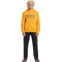 Suéter Quiksilver Graphic Youth Hoodie Orange