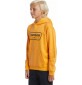 Felpa Quiksilver Graphic Youth Hoodie Orange