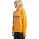 Suéter Quiksilver Graphic Youth Hoodie Orange