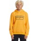 Sweatshirt Quiksilver Graphic Youth Hoodie Orange