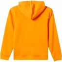 Suéter Quiksilver Graphic Youth Hoodie Orange