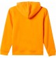 Sweatshirt Quiksilver Graphic Youth Hoodie Orange