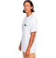 Camiseta quiksilver Floating around Beige