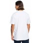 Camiseta quiksilver Floating around Beige